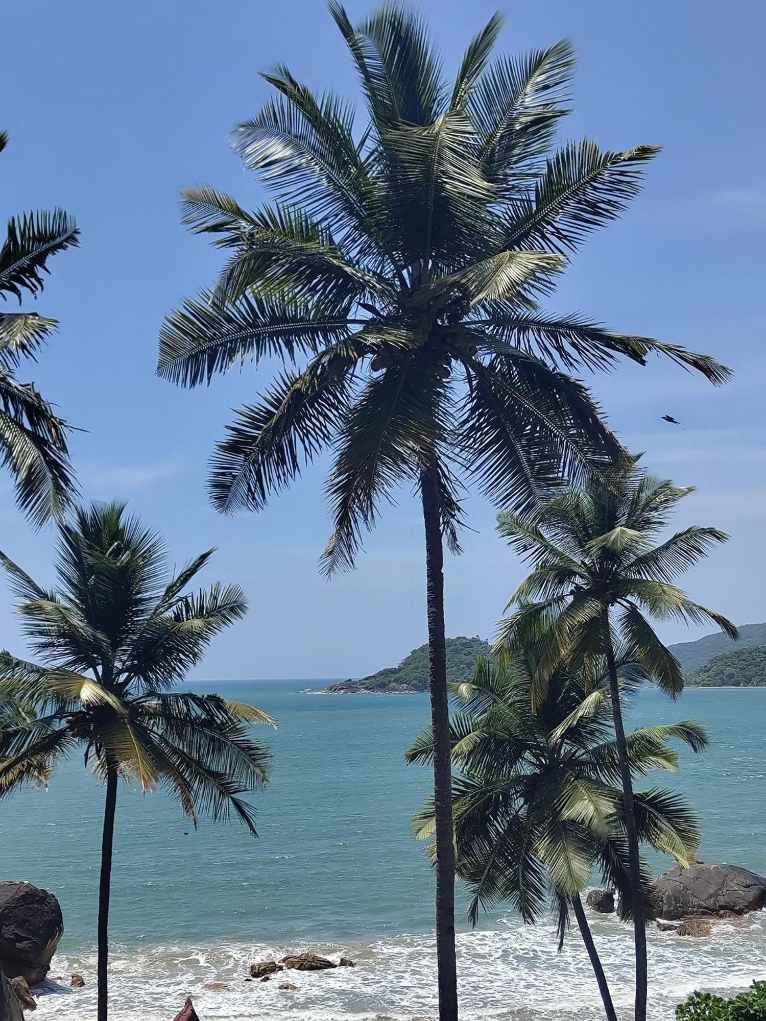 Hotel Hilltop Seaview Palolem Goa Exterior foto