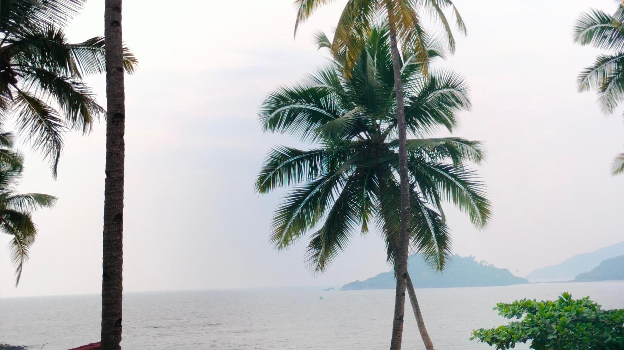 Hotel Hilltop Seaview Palolem Goa Zimmer foto